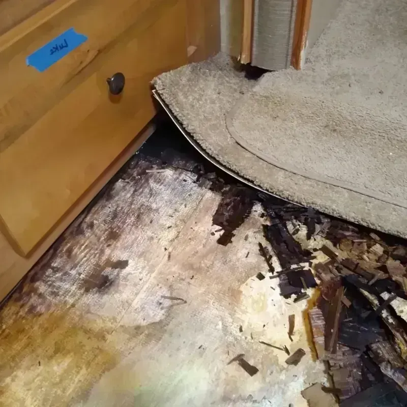 Wood Floor Water Damage in Eaton County, MI